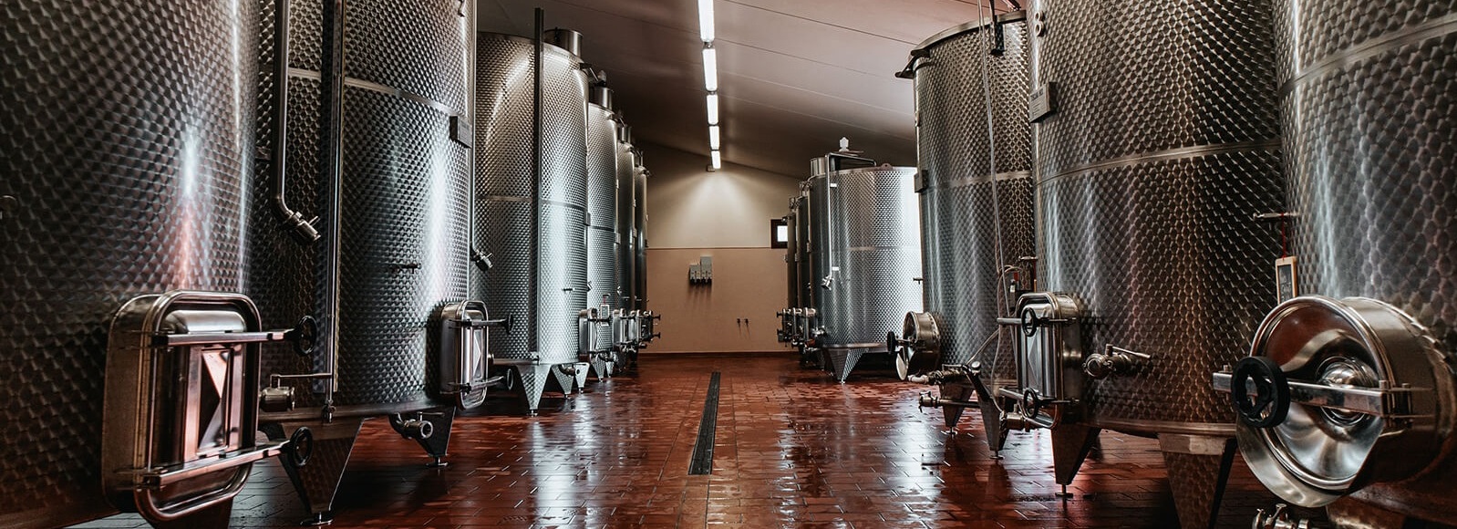 Cubas em inox Portuguesas:Precisão, Durabilidade e Inovação para os Melhores Vinhos e Azeites